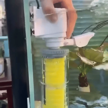 ¿AGUA TURBIA Y SUCIA?