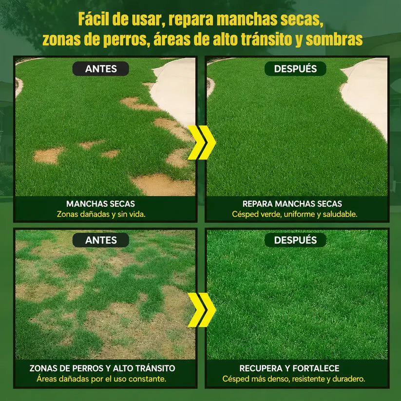 Semillas Cesped 100 gr Para 7m2