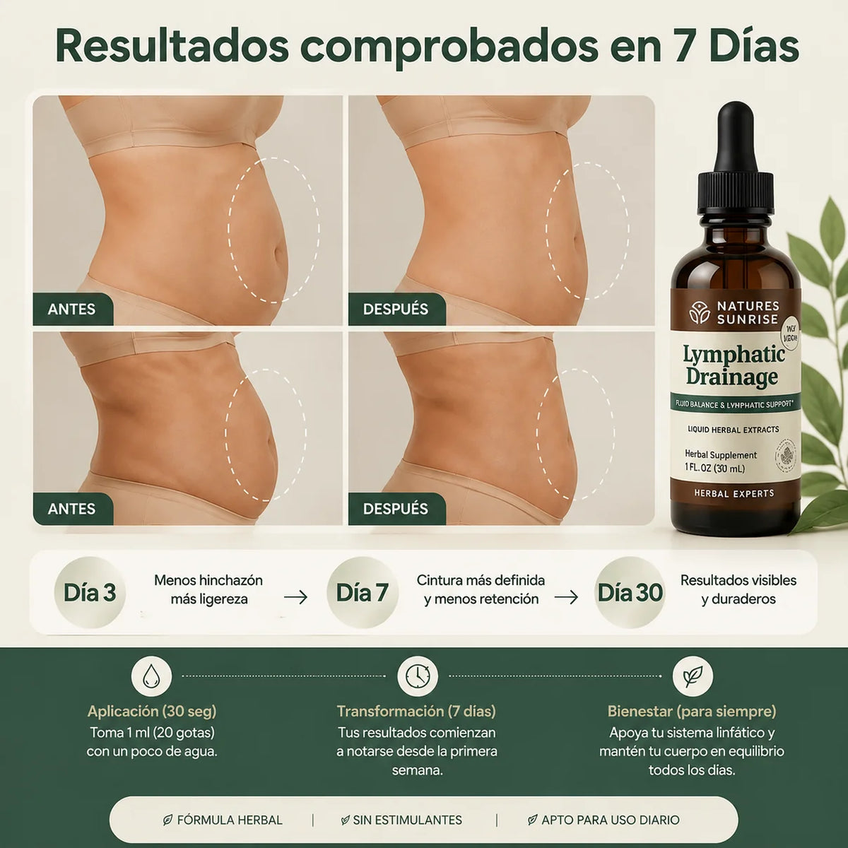 Lymphatic Drainage x2 + MAGNESIUM COMPLEX GRATIS