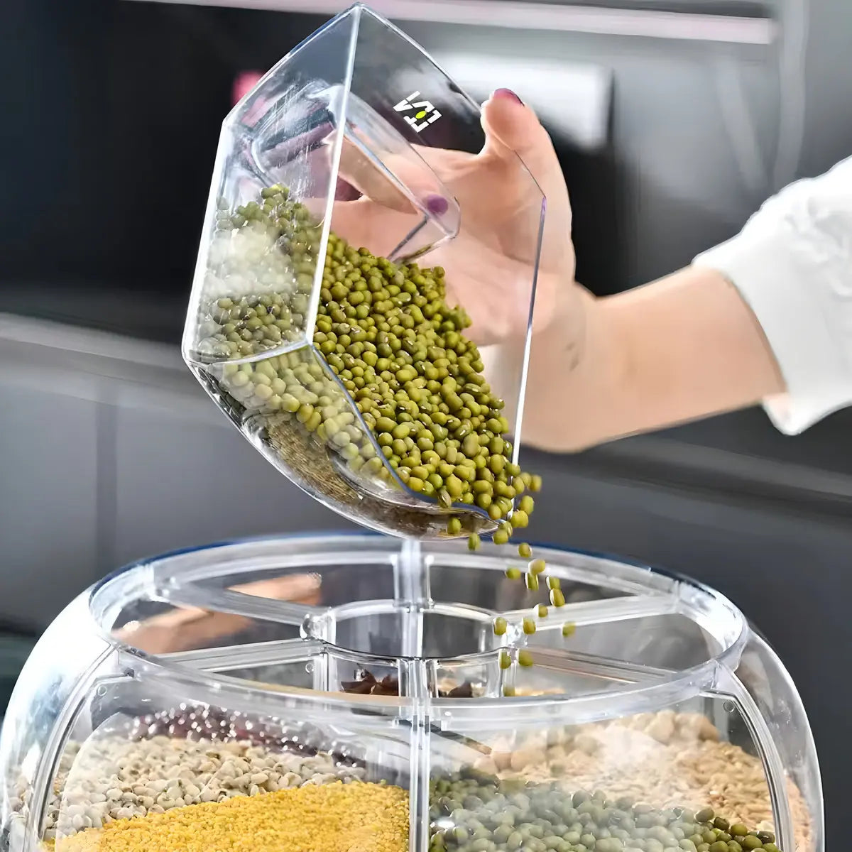 Dispensador de granos y cereales / 6 divisiones