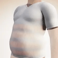 Transforma tu abdomen al instante